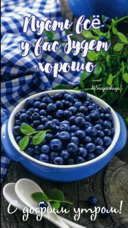 Черника голубика