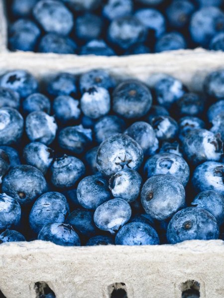 Dried blueberries