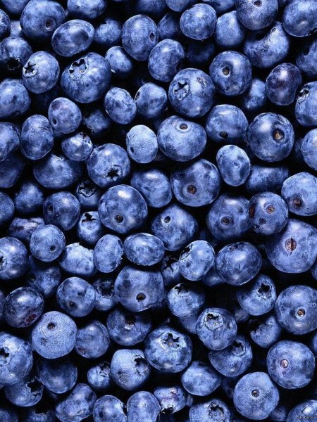 Ягода голубика