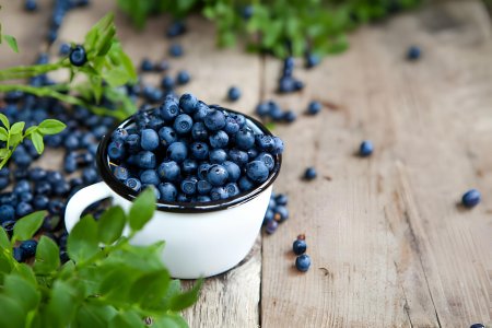 Черника голубика