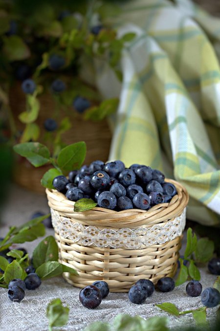 Черника мева