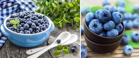 Голубика блюджей