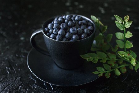 Черника голубика ежевика