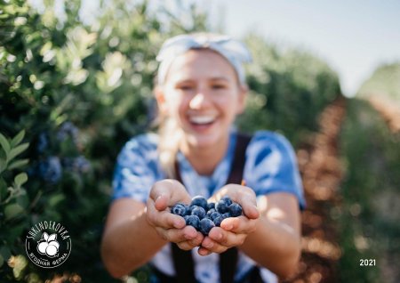 Девушка с голубикой