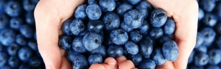 Ягода черника