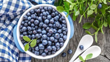 Голубика блюджей