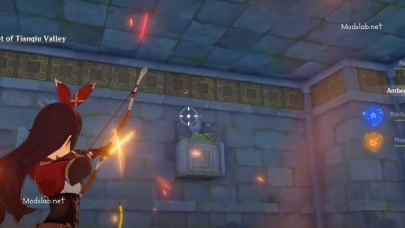 Долина тяньцю genshin impact загадка