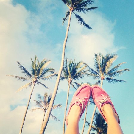 Девушка на пальме