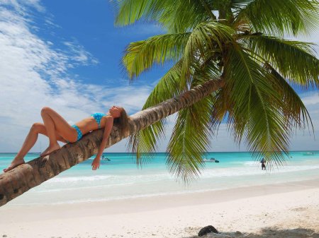 Море пальмы девушка