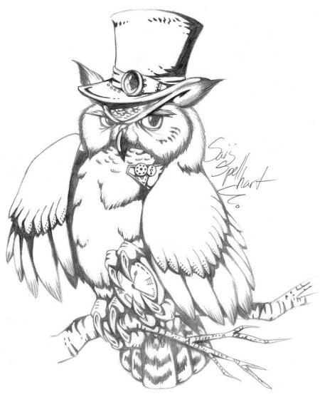 Филин рисунок карандашом