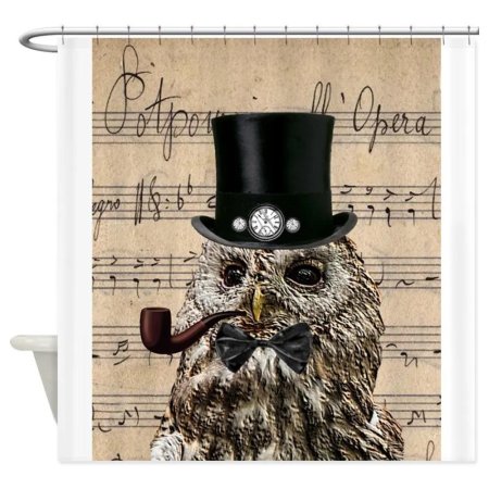 Сова в шляпе