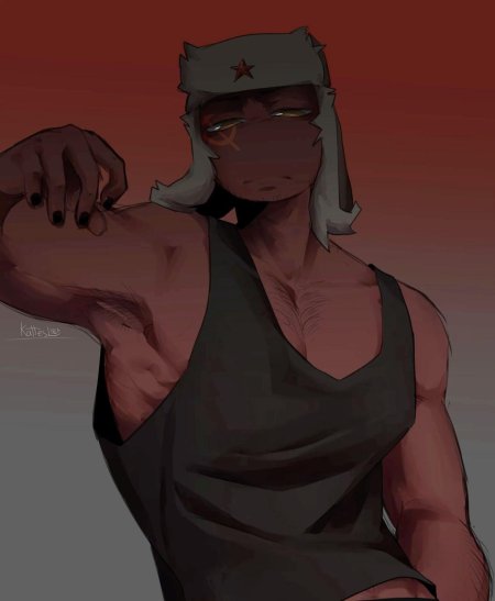 Советский союз кантрихуманс