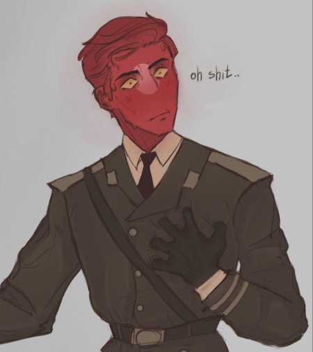 Рейх countryhumans