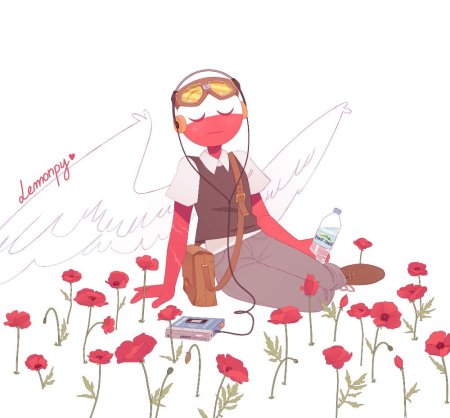 Кантри хьюманс польша