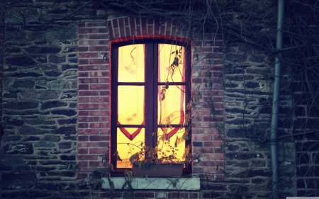 Вечерние окна домов