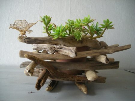 Фитодизайн рутарий