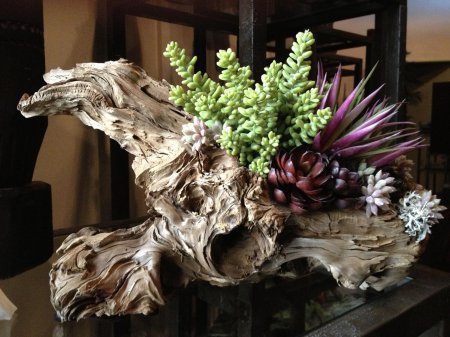 Фитодизайн рутарий