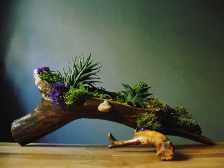 Фитодизайн рутарий