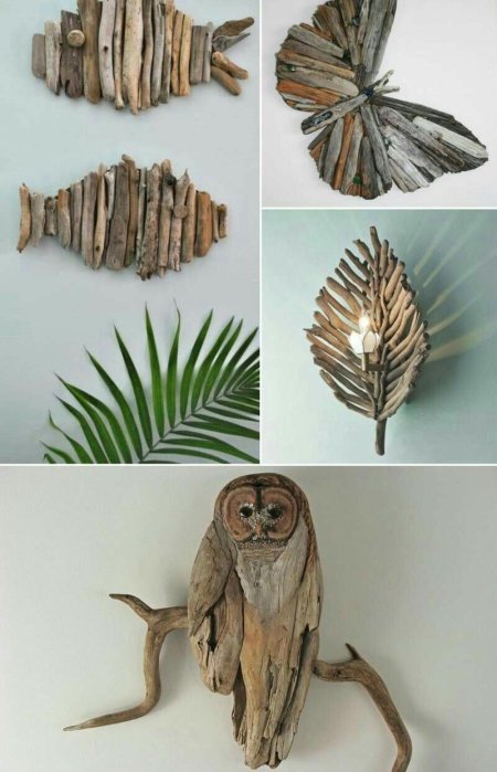 Дрифтвуд тередо