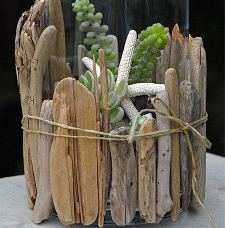 Дрифтвуд +суккуленты