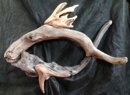 Грот декси коряга **