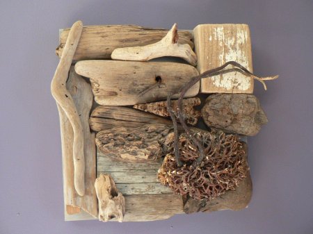 Дрифтвуд тередо