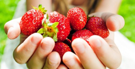 Клубника в руках