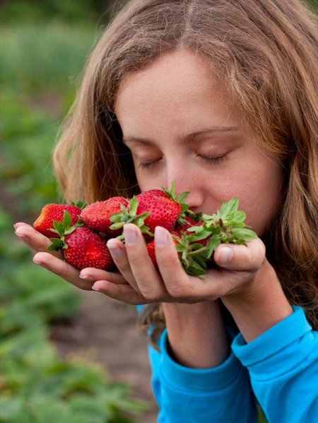Человек клубника