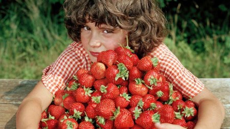 Клубника сорт