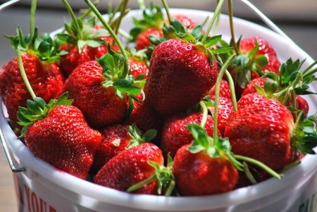 Клубника хадемар