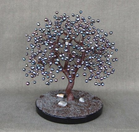 Саньчжушу жемчужное дерево