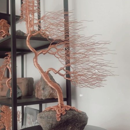 Дерево бонсай