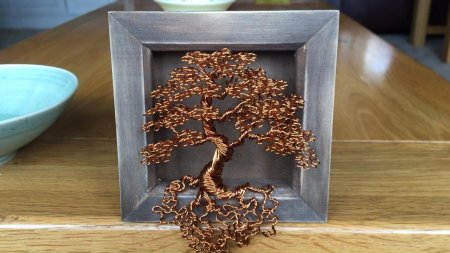 Банзай золотой дерево