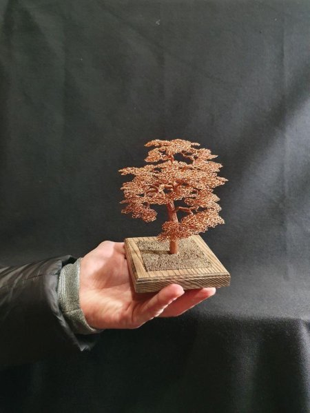 Проволока для бонсай