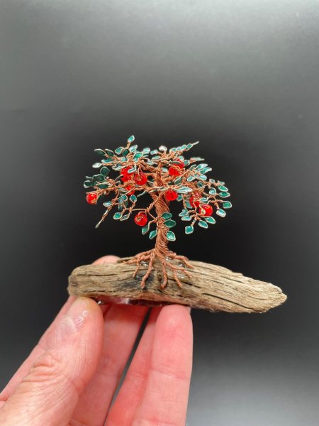 Хеномелес японский бонсай