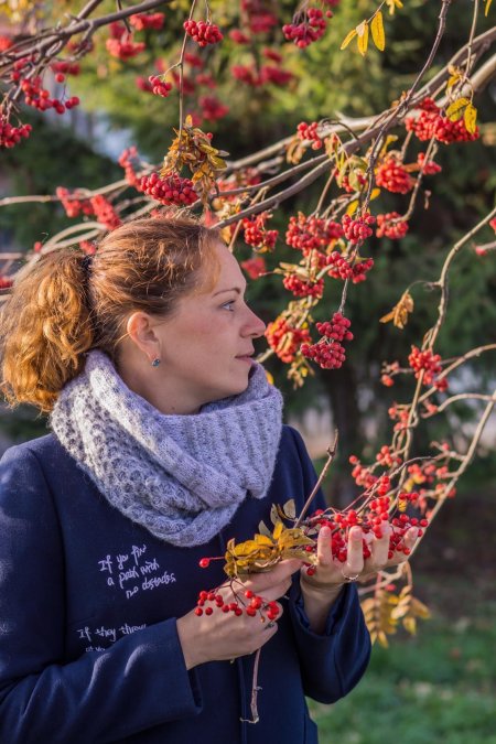 Рябина красная