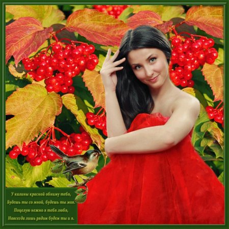 Калина красная горькая