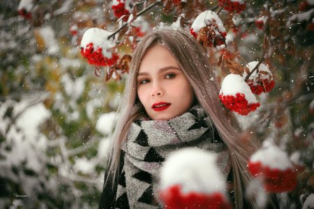 Девушка зимой с рябиной