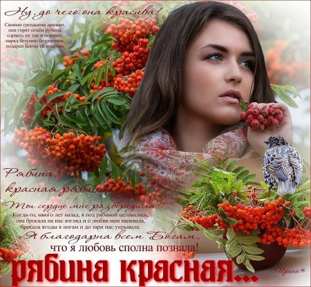 Татьяна козловская рябина красная калина