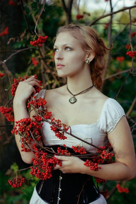 Красная рябина