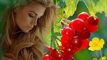 Девушка с рябиной