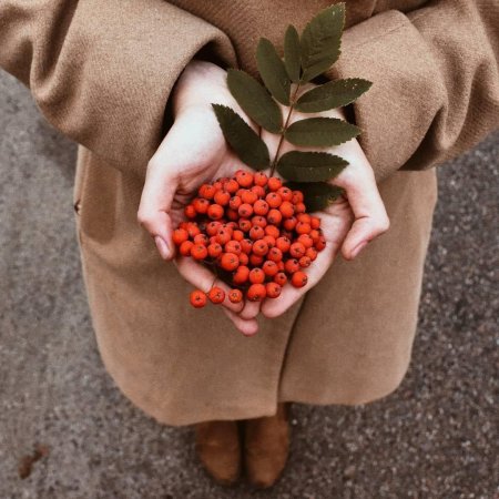 Осень рябина