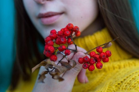 Рябина красавица