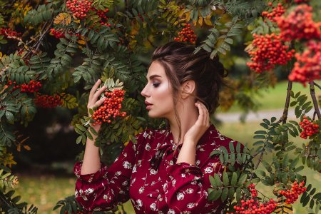 Рябина осенняя