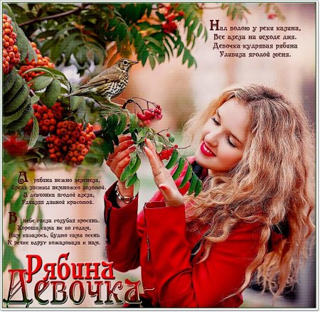 Открытка с рябиной