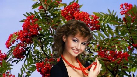 Рябина обыкновенная