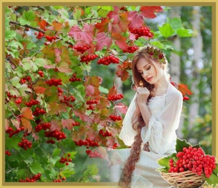 Татьяна козловская рябина красная калина