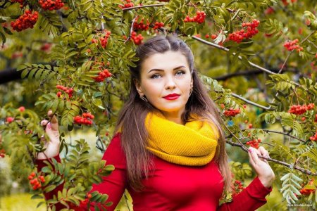 Рябина красная