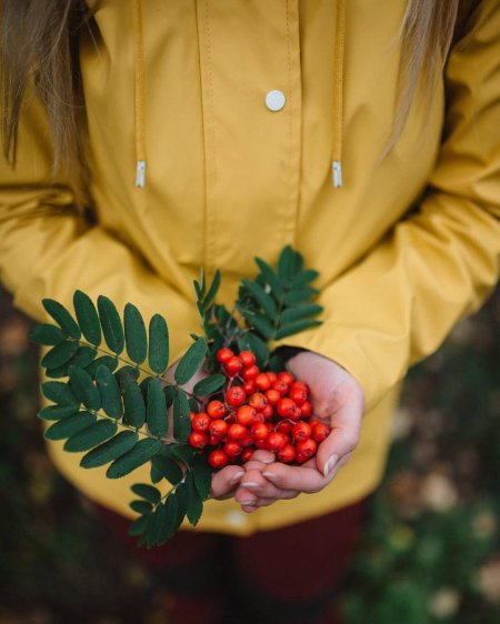 Осень фотосессия