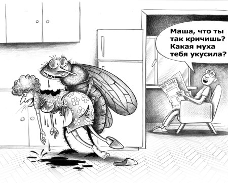 Муха карикатура